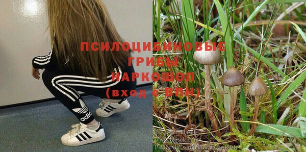 каннабис Алексеевка