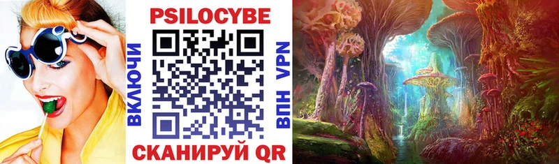 KRAKEN ссылки  Апатиты  Галлюциногенные грибы прущие грибы 